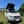 Load image into Gallery viewer, VW T4 California 3-window Pop-Top Roof Replacement Canvas SWB - Vanagon Maniac
