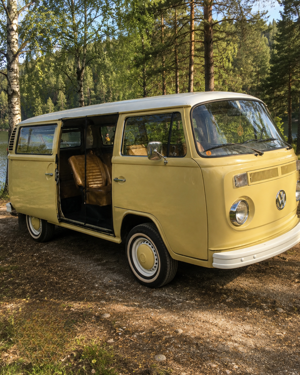 Magnetic Bug Screen Compatible with VW T2 in BLACK