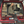 Load image into Gallery viewer, Person sitting inside a red van with camping gear, smiling.
